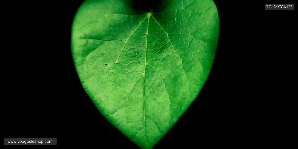 ⚽️ 一键购票，亲临现场！热门赛事，不容错过🎫🔥